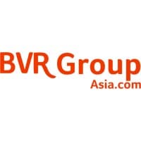BVR Group Asia logo